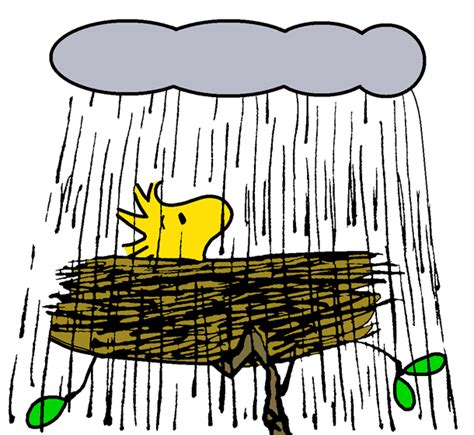 Woodstock at Home in the Rain Peanuts Charlie Brown Snoopy, Woodstock ...