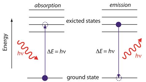 14.1: Vocabulary - Chemistry LibreTexts