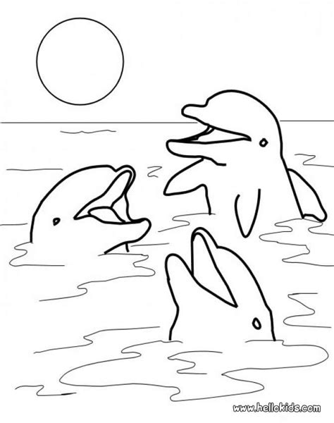 Realistic Dolphin Coloring Pages at GetDrawings | Free download