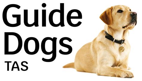 Providing Guide & Assistance Dogs in Tasmania - Guide Dogs Tasmania