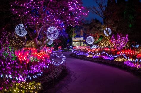 16 Best Christmas Lights Around the World You Need to See