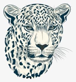 Cheetah Head Png - Realistic Cheetah Face Drawings, Transparent Png ...