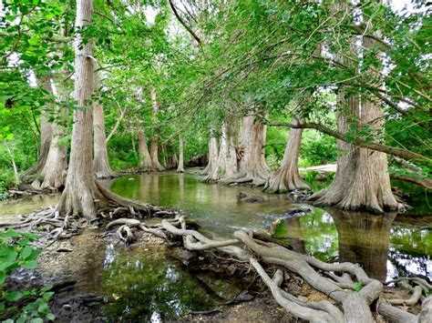 15 Reasons to Visit Boerne, Texas - A Wandering Web