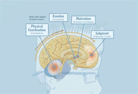 How Does Technology Affect The Teenage Brain - technology