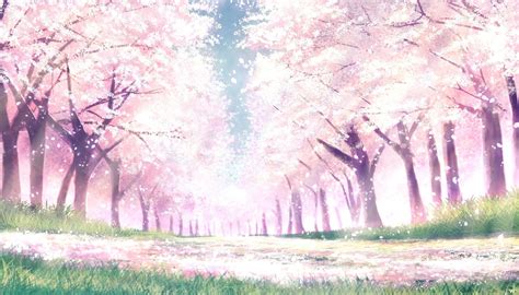 Sakura Tree Anime Wallpapers - Top Free Sakura Tree Anime Backgrounds - WallpaperAccess