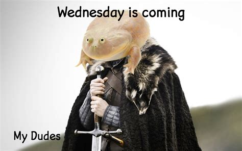 Wednesday is coming my dudes | It Is Wednesday My Dudes | Know Your Meme