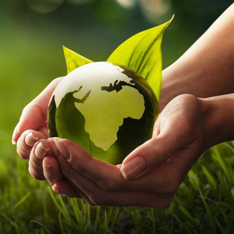 Top 10 Ways to Protect The Environment - Save Our Environment at Home