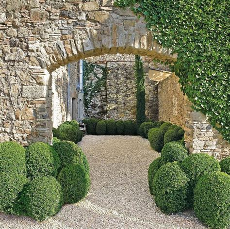 341 best images about BOXWOOD/ TOPIARY on Pinterest | Gardens, Hedges ...