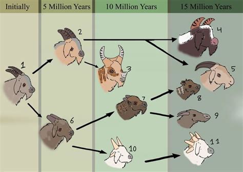 Evolution of the Goat timeline | Timetoast timelines