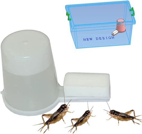 Buy Crickets Water Feeder Cricket breeding kit Automatic Cricket Feeder Cricket Keeper with ...