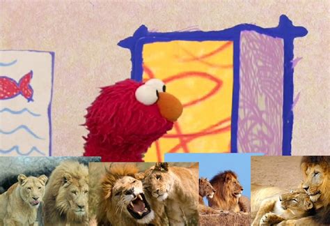 Elmo's World: Lions | Elmos world fanon Wiki | Fandom