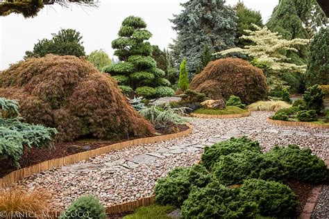 Iseli Nursery, mixed foliage border, Japanese maples, evergreens ...