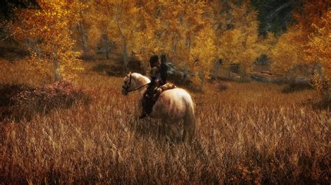 Skyrim Mod Spotlight - Seasons of Skyrim ENB Is A Gorgeous ENBSeries Mod