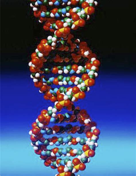 DNA – the Mystic Ladder | Sondra Barrett, PhD