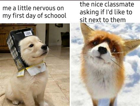 That nice classmate! | /r/wholesomememes | Wholesome Memes | Know Your Meme