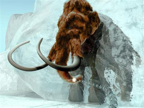 Woolly mammoth — elephant hybrid: Scientists on verge of breakthrough | Herald Sun