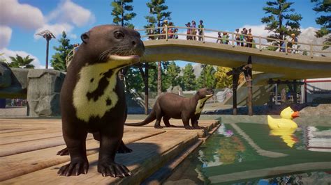 Planet Zoo - Aquatic Pack DLC EU Steam Altergift | Buy cheap on Kinguin.net