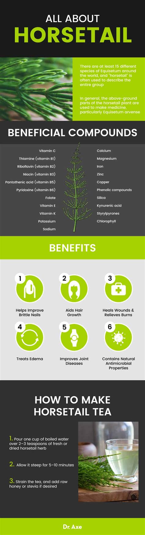 Horsetail Benefits, Uses, History, Risks, Side Effect, Interactions - Dr. Axe