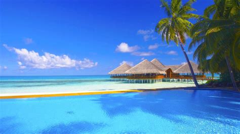 Paradise Beach Wallpaper (69+ pictures) - WallpaperSet