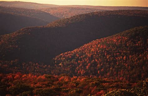 Fall foliage Endless Mountains Pennsylvania Photograph by Blair Seitz - Fine Art America