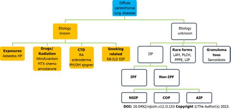 Interstitial Lung Disease Ild Types And Symptoms