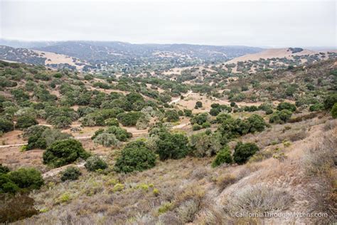 Fort Ord National Monument: Hiking from the Creekside Terrace Trailhead ...