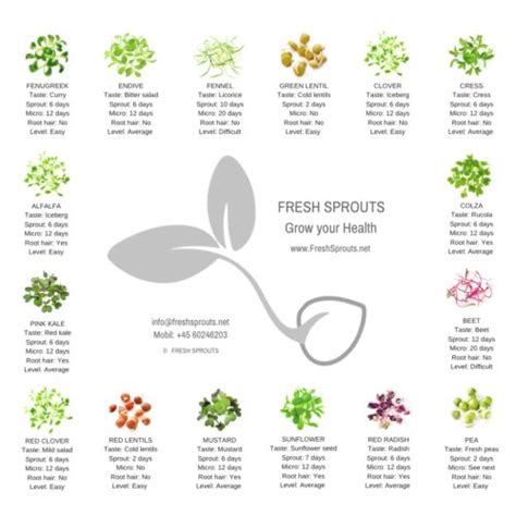 Sprout chart in print with info on organic sprouts and microgreens