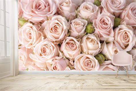 Pink Rose Flowers Wall Mural Wallpaper