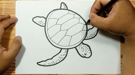 SEA TURTLE EASY DRAWING - YouTube