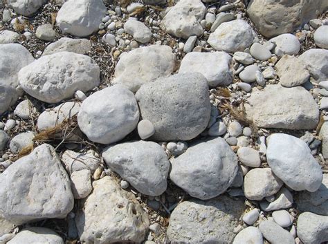 Beach pebbles 2 Free Photo Download | FreeImages