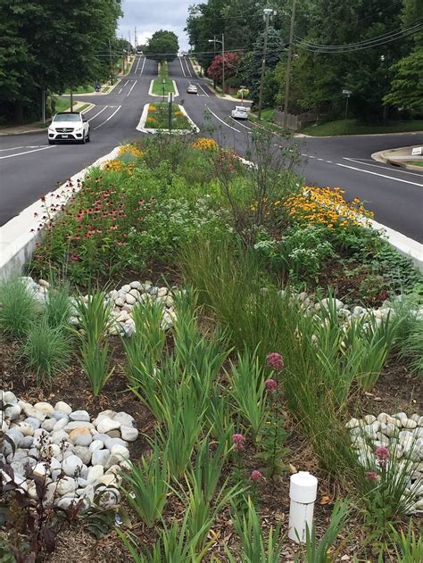 Green Streets – Official Website of Arlington County Virginia Government