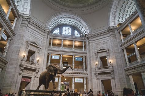 18 DC Museums You Can Visit Without Leaving Your Couch