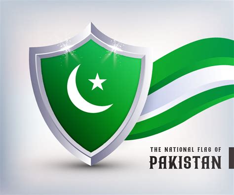 Pakistan metal shield flag vector design. Pakistan Flag Shield design ...