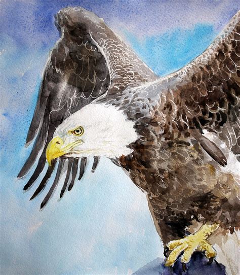 Bald Eagle painting Original watercolor artwork Eagle art Bird | Etsy