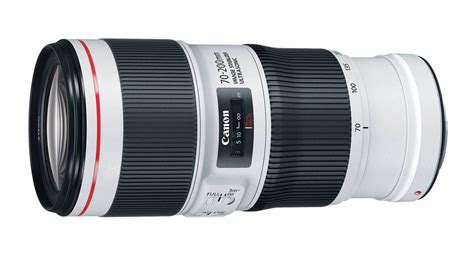 Best Telephoto Lenses for Canon DSLRs - Best Camera News