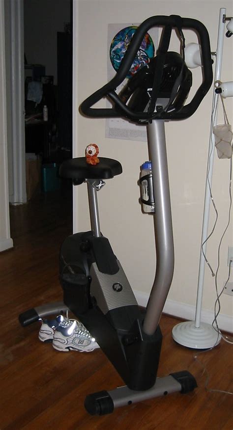 Soggy inspecting exercise equipment | noricum | Flickr