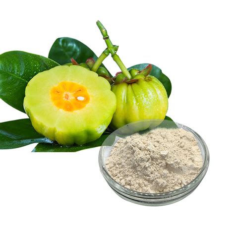 China Garcinia Cambogia Extract factory and manufacturers | Ruiwo