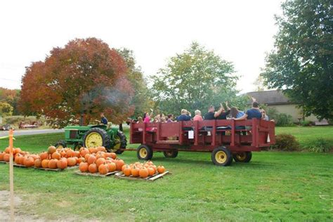 Wagon rides | Fall festival, Festival, Wedding