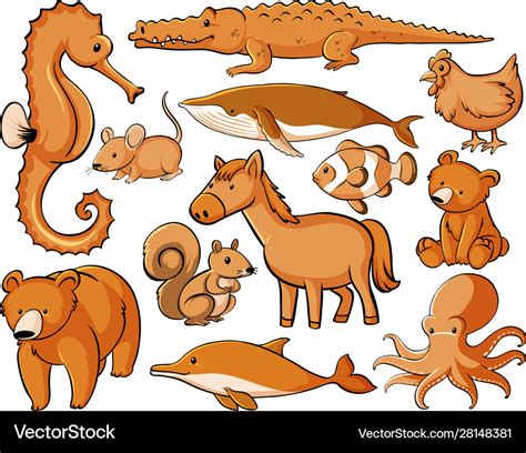 Many animals in orange color Royalty Free Vector Image