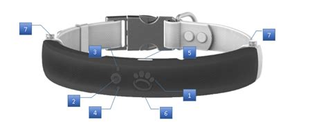 Halo Collar Overview – Halo Collar Help Center