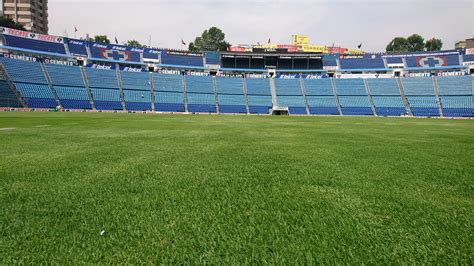 Football Stadium Grass