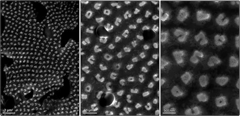 Magnetic field-induced self-assembly of iron oxide nanocubes - Faraday Discussions (RSC ...