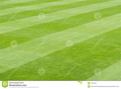 Greensward Field Background Stock Photo - Image of greensward, sport: 77081020