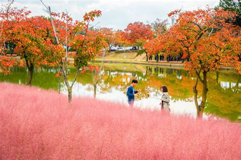 Autumn In Korea 2024 | 48 Exceptional Places To See Breathtaking Fall ...