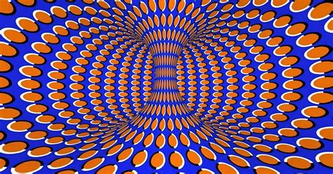 Optical Illusions and How They Work | AMNH