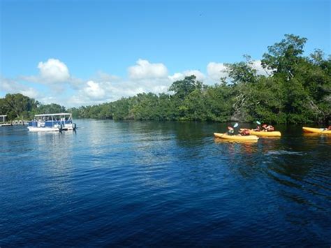 Paddling Flamingo, Florida Everglades. E-Z Map, Photos, Rentals ...