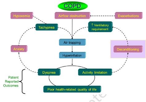 Central role of air trapping and hyperinflation in the pathophysiology... | Download Scientific ...