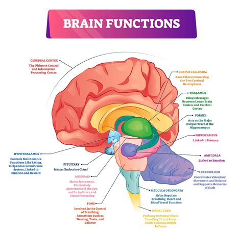 Using RightEye to Determine Brain Health | Restoration Healthcare