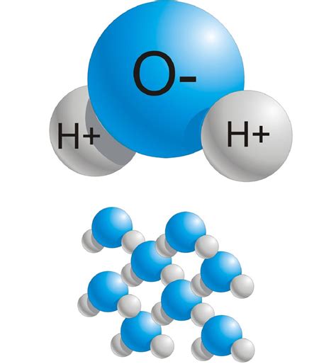 La molécula de agua: estructura, propiedades y su importancia biológica