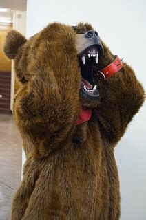 Cosplay.com - Kuma (new) from Tekken Tag Tournament 2 by JokeR >:)